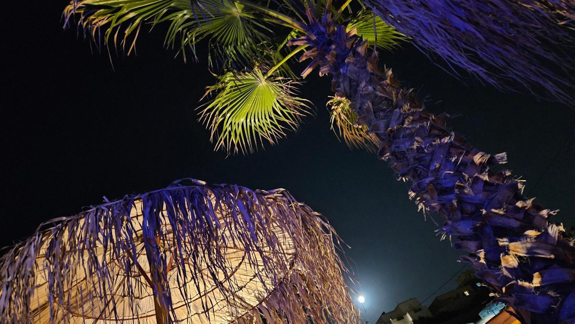 Elli Tropical Suites Mykonos Town Eksteriør billede