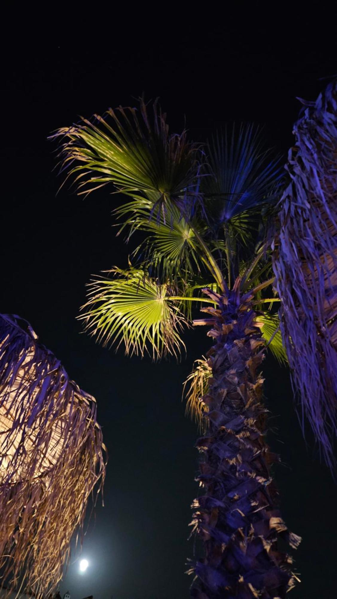 Elli Tropical Suites Mykonos Town Eksteriør billede