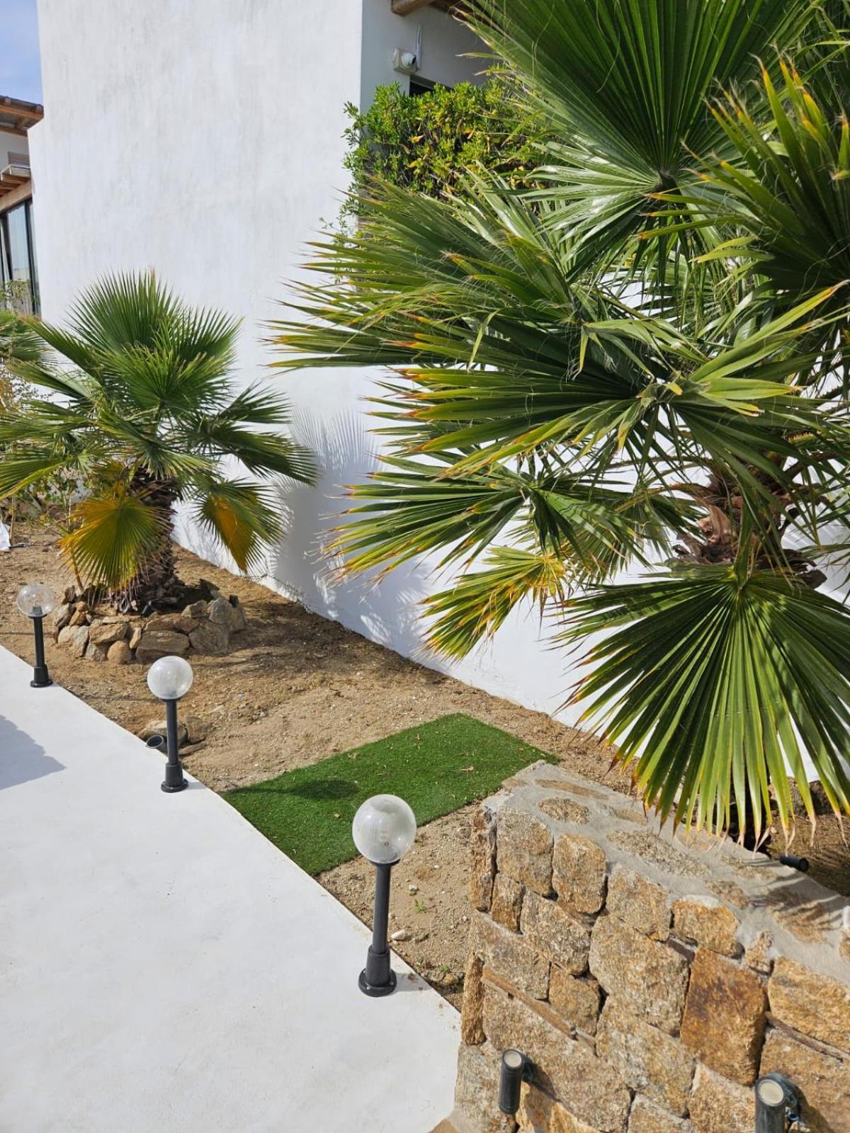 Elli Tropical Suites Mykonos Town Eksteriør billede